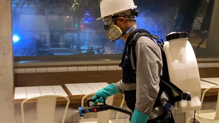 SANI NORT desinsectacion