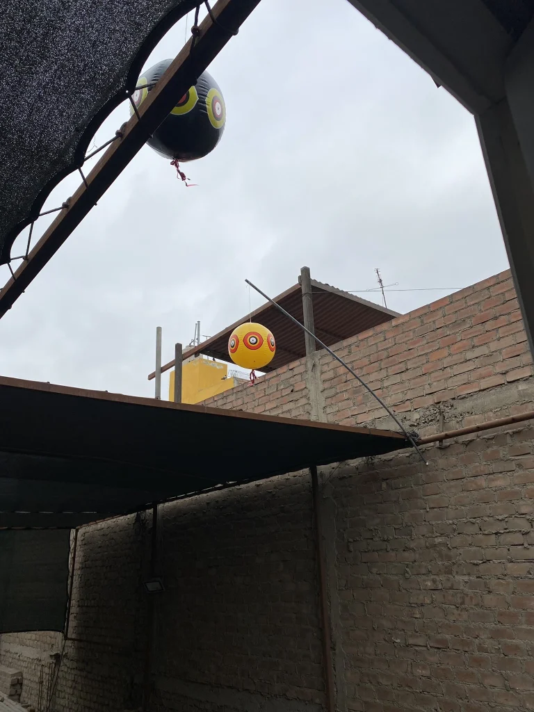 control-aviar-antipalomas