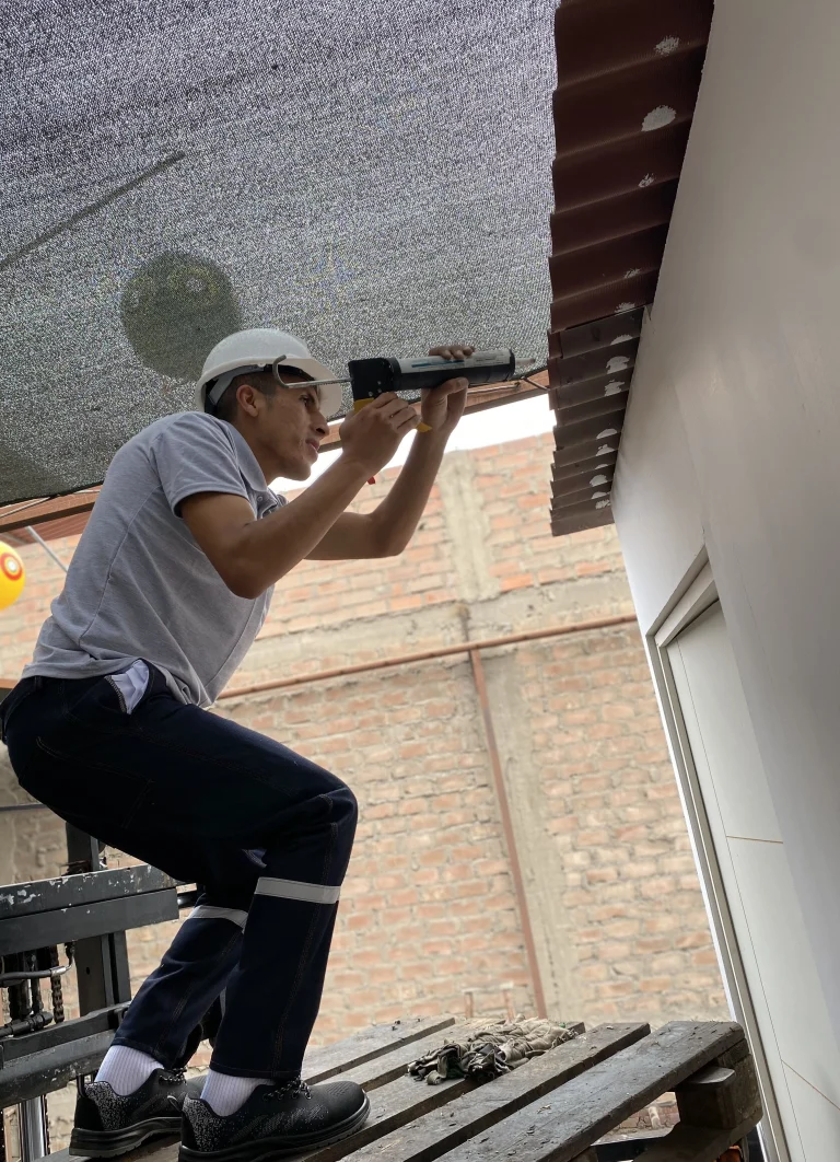 control-aviar-implementacion