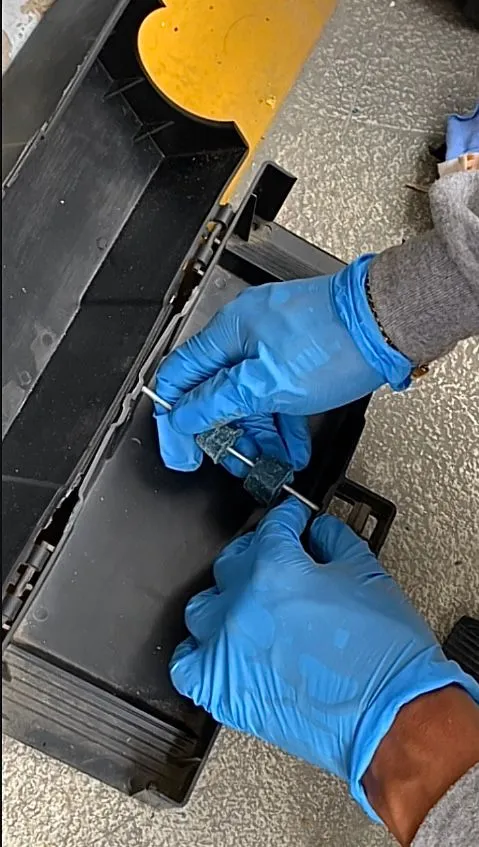 DESRATIZACIÓN desratizacion-peru